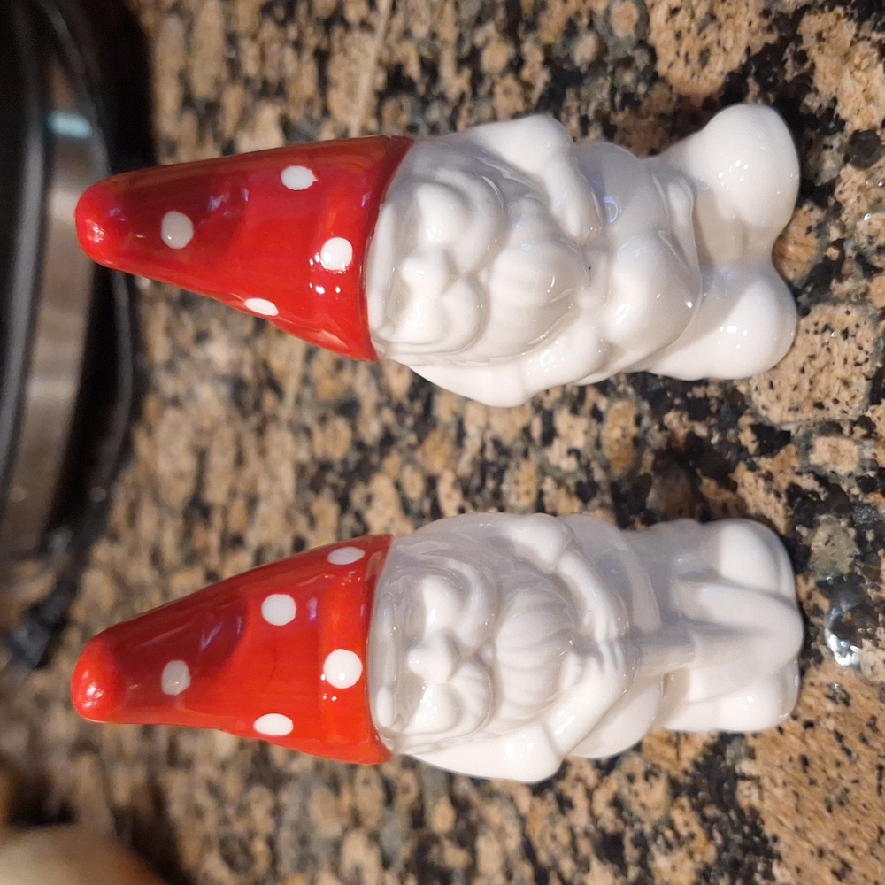 Modcloth Gnome salt and pepper shakers set